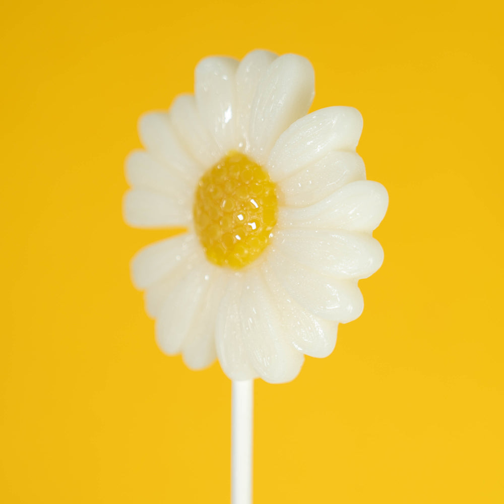 Sparko Sweets Daisy Lollipops