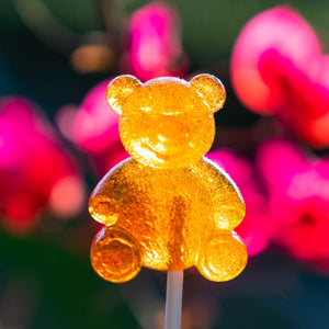 Honey Bear Lollipops (12 Pieces) - Sparko Sweets