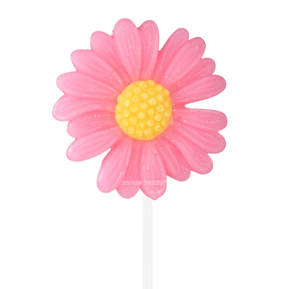 Big Pink Daisy Lollipops (12 Pops)