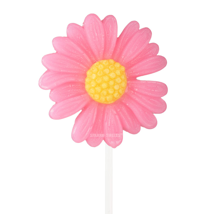 Big Pink Daisy Lollipops (12 Pops)