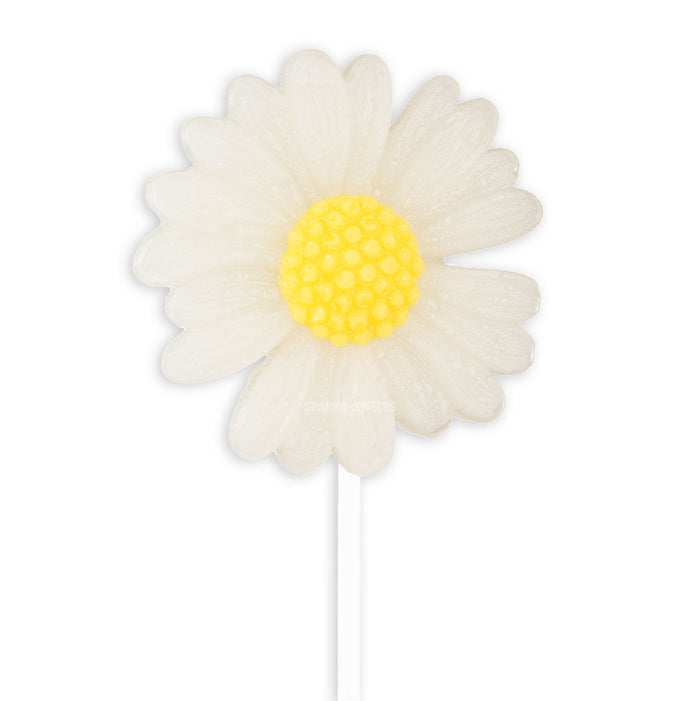 Big White Daisy Lollipops (12 Pops)