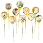 Kitten and Cat Lollipops (10 Pieces) - Peach - Sparko Sweets
