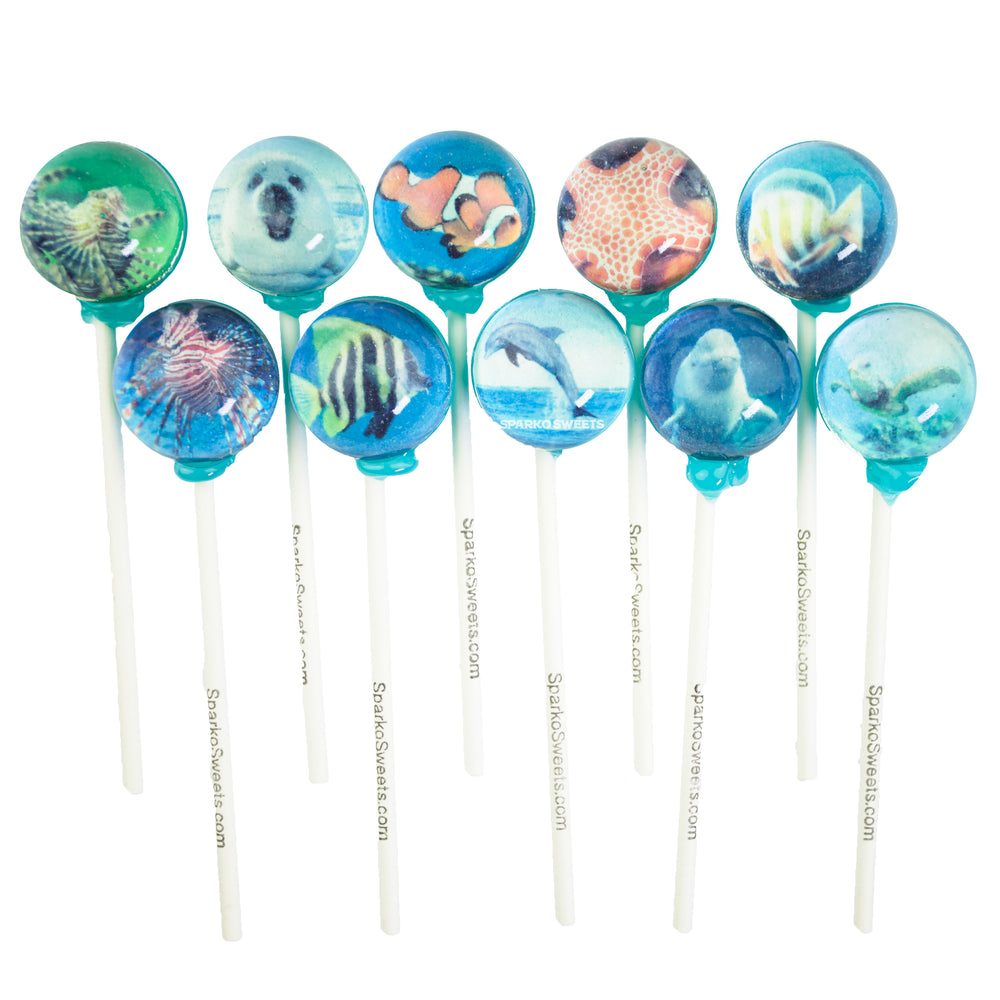 Aqua Picture Lollipops (10 Pieces) - Sparko Sweets