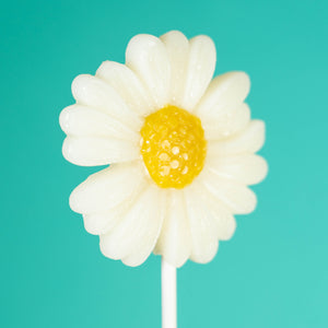Sparko Sweets White Daisy Lollipops