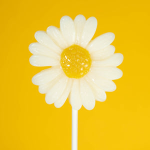 
            
                Load image into Gallery viewer, Sparko Sweets Daisy Lollipops
            
        
