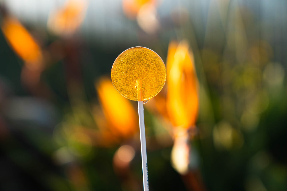 Honey Lollipops (40 Pieces) - Sparko Sweets