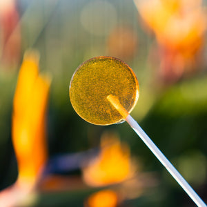 
            
                Load image into Gallery viewer, Honey Raw Bee Pollen Lollipops - Sparko Sweets
            
        