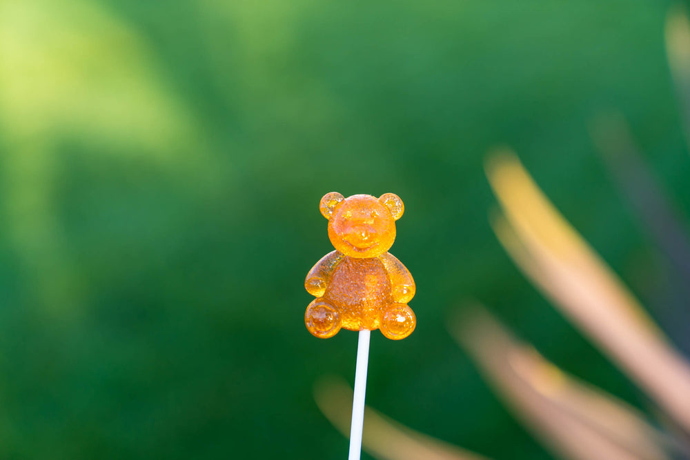 
            
                Load image into Gallery viewer, Honey Bear Lollipops (12 Pieces) - Sparko Sweets
            
        