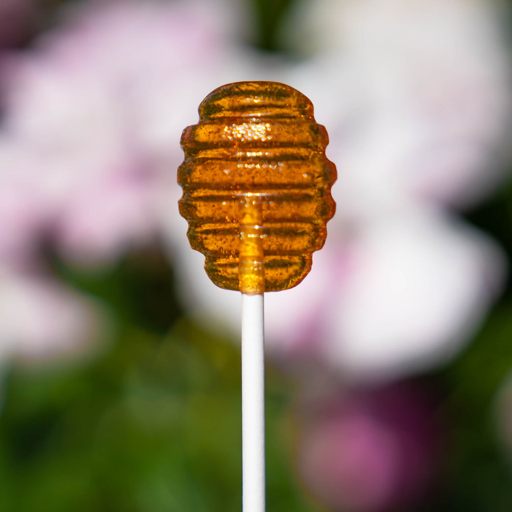 Honey Dipper Lollipops (40 Pieces) - Sparko Sweets