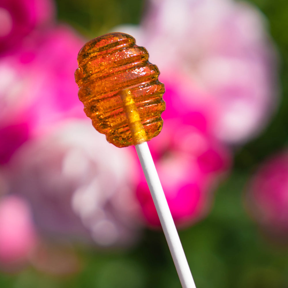 Honey Dipper Lollipops (40 Pieces) - Sparko Sweets