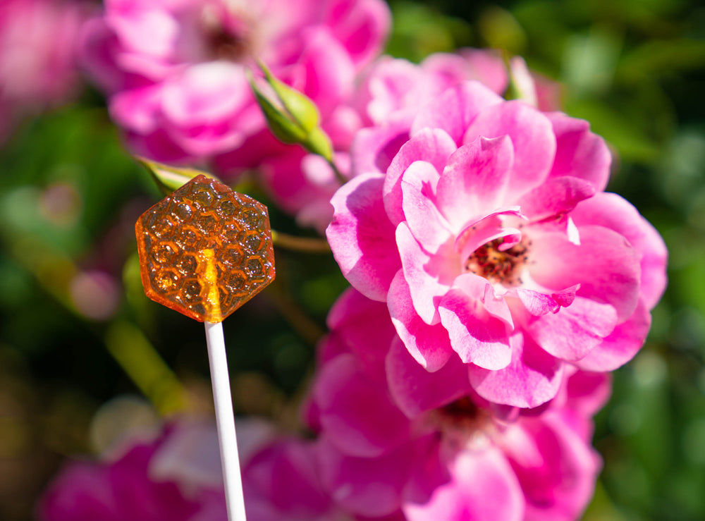 
            
                Load image into Gallery viewer, Honeycomb Lollipops (40 Pieces) - Sparko Sweets
            
        